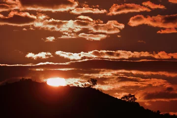 Fototapete Rund Sonnenuntergang - Krüger Park - Südafrika / Sundown - Kruger Park - South Africa / © Ludwig