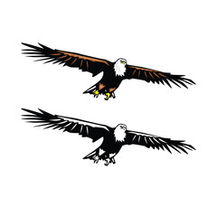 Flying eagle vector template isolated on white background