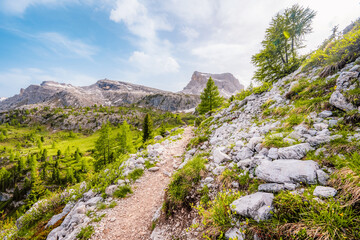 Majestic landscape of Alpine Cinque Torri in background Passo Falzarego, Tofana. Hiking nature scenery in Dolomite, Italy near Cortina d'Ampezzo