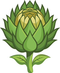 Cardoon vector art with a white background. Cartoon flower bud of artichoke.