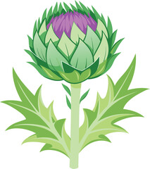 Cardoon vector art with a white background. Cartoon flower bud of artichoke.