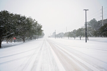 Snow-covered road in Alabama lined with trees and streetlights
