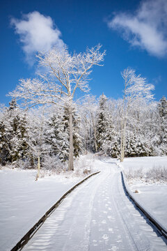 Groomed cross country ski path on a snowy winter day in New Hampshire
