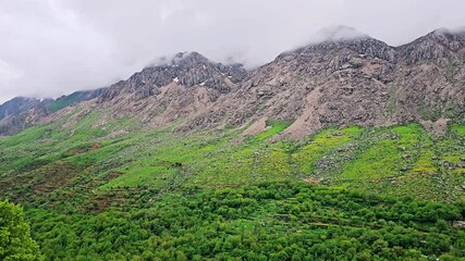 Misty mountain range with lush greenery, capturing the peaceful soul of untouched wilderness.  
📍Hawraman Takht, Kurdistan 