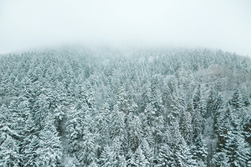 Snowy mountain slopes and rural village in winter