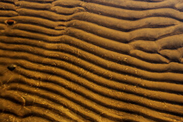 Sand at thec coast of river