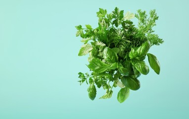 Obraz premium A floating bundle of fresh herbs--parsley, basil, rosemary--tumbling mid air, pastel cyan background