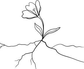 Singleline drawing of a blooming flower and its roots