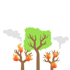 Forest Fires Illustration