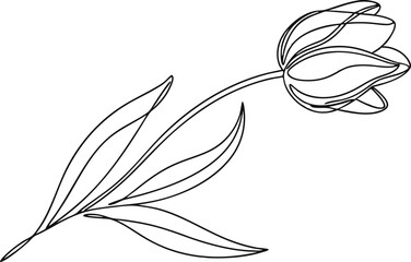 Elegant Line Art Drawing of a Single Tulip Flower