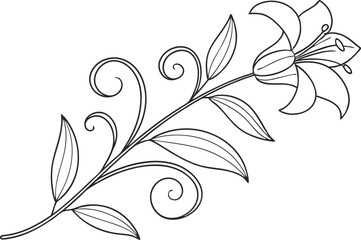 Obraz premium Elegant Line Drawing of a Lily Flower with Swirls