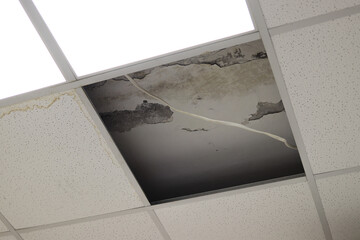 Photography of a ceiling tile damage by water.mildew.brown stain, office building.A nasty ceiling with water and mold damage to it from a leak.fungus.