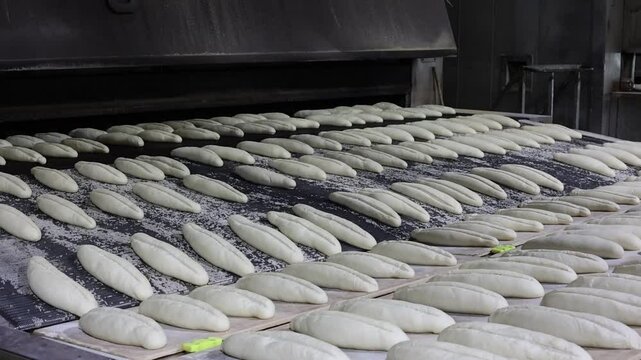 bread doughs entering an industrial conveyor belt oven