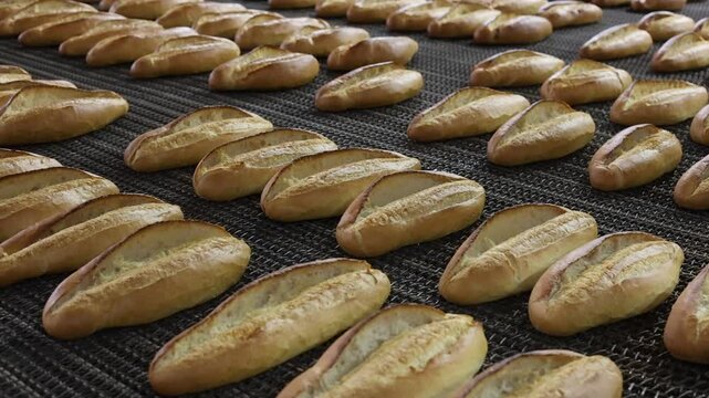 freshly baked loaves of bread coming out of an industrial oven