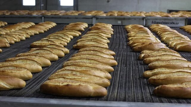 freshly baked loaves of bread coming out of an industrial oven