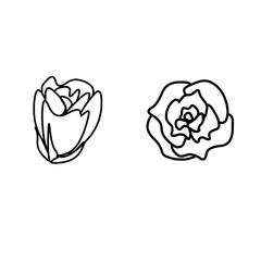 白黒薔薇スタンプイラスト