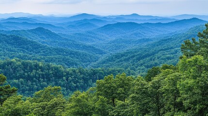 A breathtaking aerial view of an endless tropical rainforest, with layers of trees stretching to the horizon