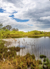 Lake with a cloudy sky in the background