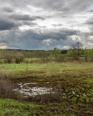 Field with a pond in the middle