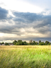 Field of grass with a cloudy sky in the background