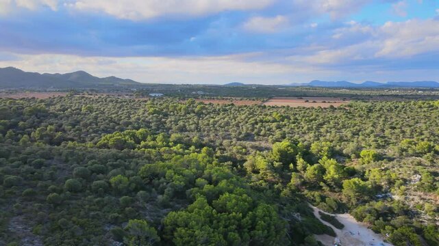 Discover the stunning landscapes of Cala Varques, surrounded by lush greenery and the breathtaking coastline of Majorca. Perfect for nature lovers and adventurers alike.