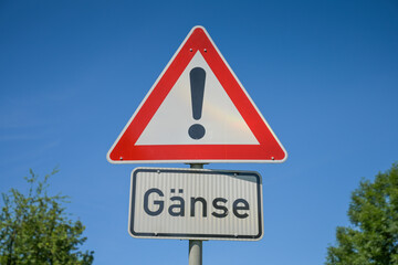Warnschild, Achtung Gänse, Rheinuferweg bei Osterspai, Rheinland-Pfalz, Deutschland