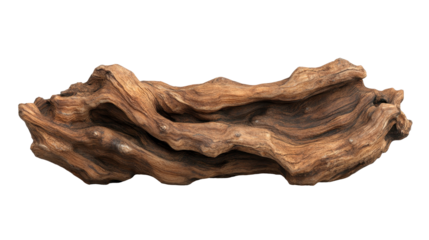 Unique wooden driftwood piece with intricate textures and natural patterns. transparent background