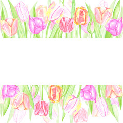 Obraz premium Hand drawn watercolor delicate tulips with green leaves frame border. Illustration of flowers isolated on white background. Can be used for postcard, invitation, scrapbook and other printed products.