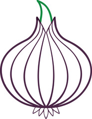 Onion vector art with a white background. Whole red onion and slice isolated on a white background.