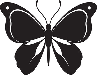 butterfly silhouette, black and white silhouette, vector and illustration
