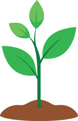 young plant vector, vector and illustration, vector style
