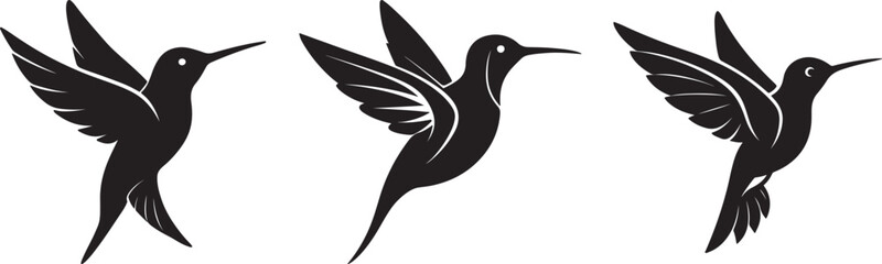 set of hummingbird silhouette, black and white silhouette, vector and illustration