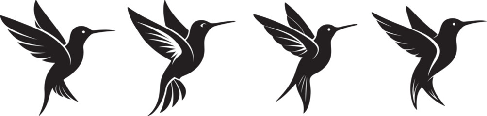 set of hummingbird silhouette, black and white silhouette, vector and illustration