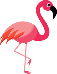 pink flamingo vector, vector and illustration, vector style
