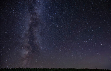 night starscape in the countryside