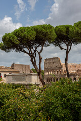Fototapeta premium Rome