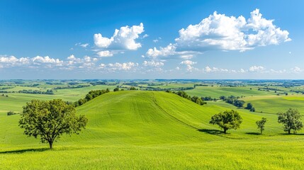 Obraz premium Sunny day rolling green hills landscape