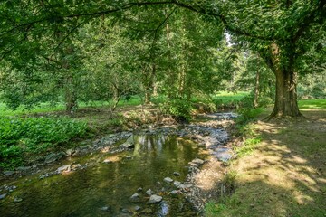 Obraz premium Sulzbach im Sulzbachpark, Frankfurt am Main, Hessen, Deutschland