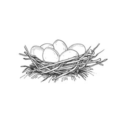 Eggs in nest vector black and white illustration hand drawn with ink. Isolated object for label design