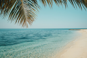 Fototapeta premium Tranquil beach with clear waters and palm trees under a bright blue sky inviting relaxation and leisure during the warm summer day