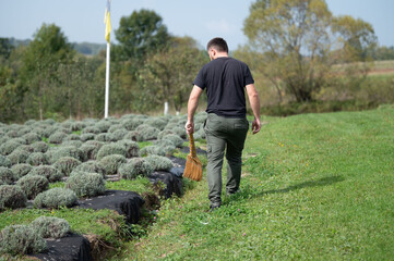 Fototapeta premium A gardener walks away from rows of garden plots while carrying a broom. The scene is set on a sunny day with trees, grass and a flag in the background. Landscaping and groundskeeping.