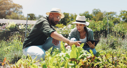 Farm, tablet and people with vegetables in countryside for growth, sustainability and harvest...
