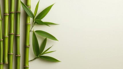 Serene Bamboo Still Life: A Study in Green