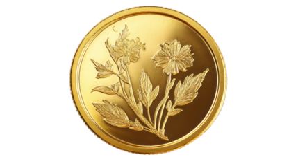 gold coin isolated on white background