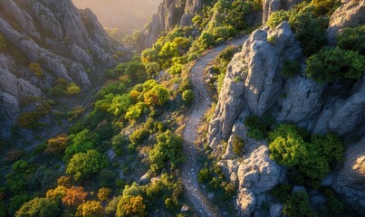 Obraz premium Aerial view of winding mountain road, autumn foliage, rocky cliffs, sunlight