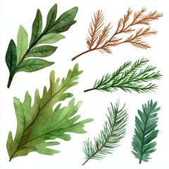 Fototapeta premium A collection of various watercolor leaves in shades of green and brown.