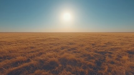 Expansive golden grassland under a bright sun, showcasing tranquility and vastness in nature