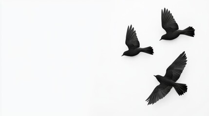 Fototapeta premium Three black birds flying in the air with their wings spread