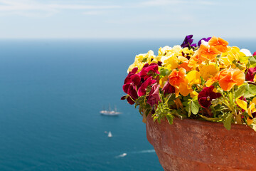 Flowers in terracotta planter overlooking the sea