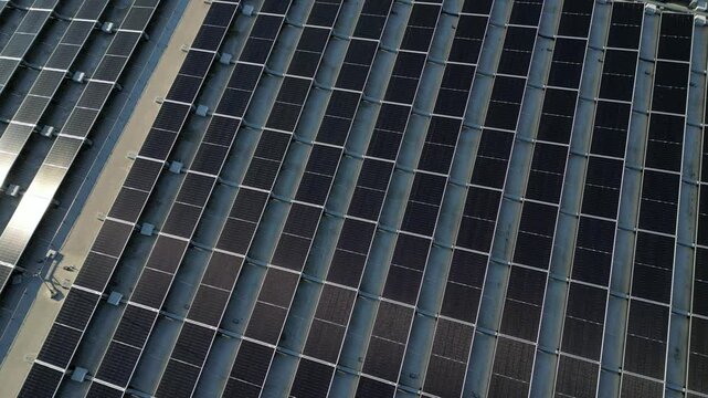 extensive roof of industrial and logistic hall are gradually being filled with solar panels. covering roofs helps industrial developer increase energy efficiency and sustainability site, building 